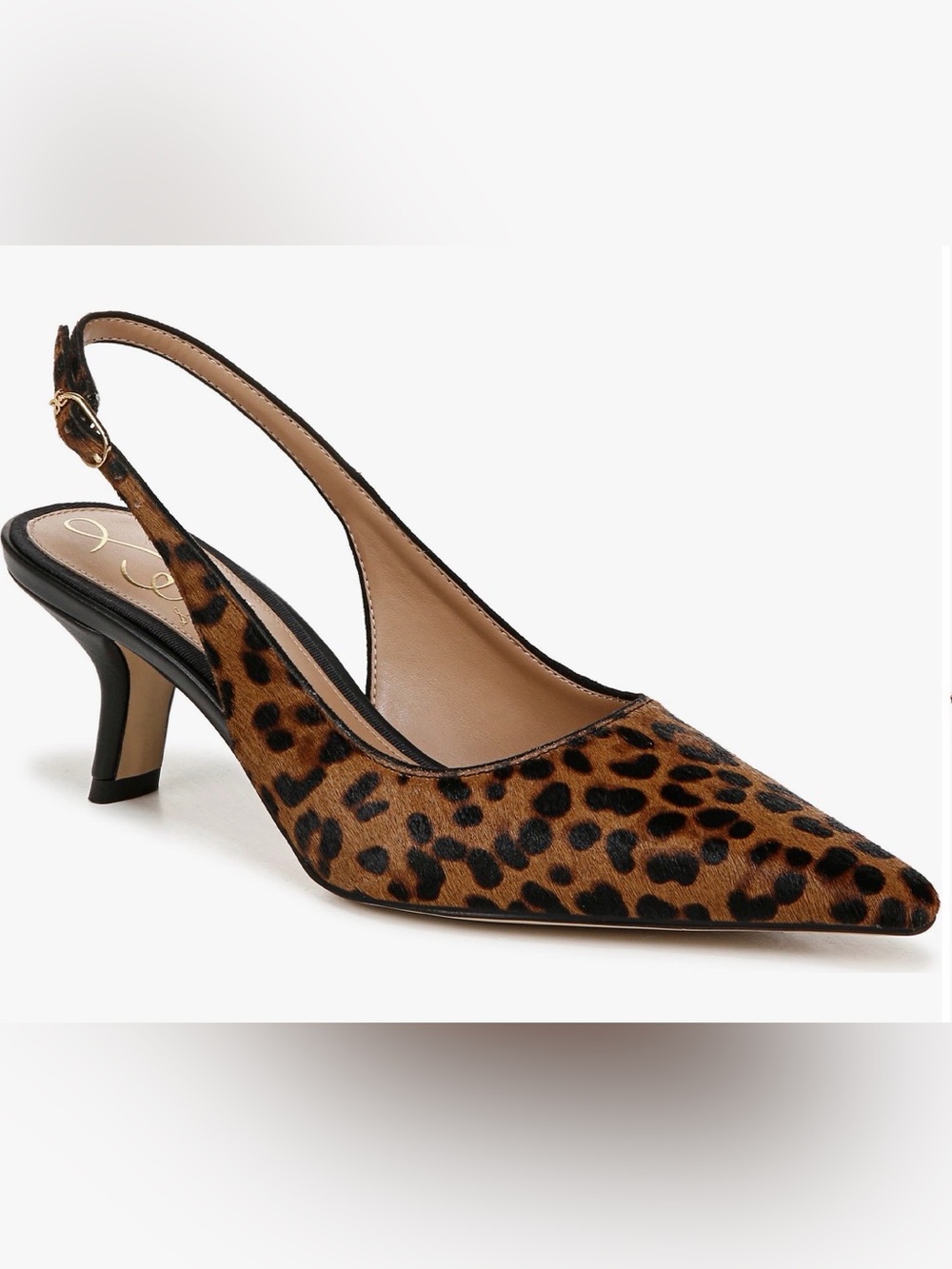 Sam Edelman Leopard-Print Pointed Slingback Pump - Brown/Black